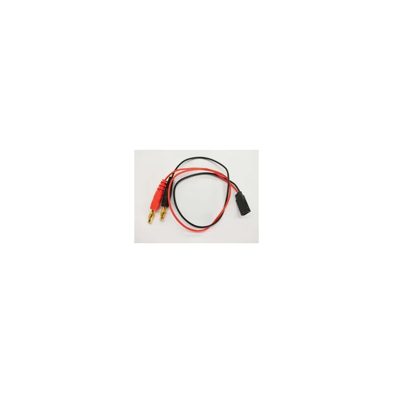 BlissRC - Cavo carica Rx maschio Acquista Ora