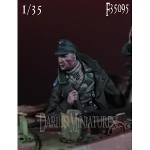 Darius Miniatures 1 35; German Hetzer Commander Novità
