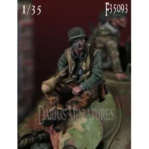 A Buon Prezzo Darius Miniatures 1 35; German WSS Grenadier 2