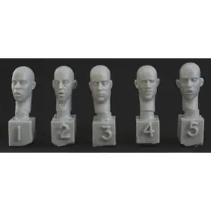 Non Perdere HORNET 5 different heads looking down