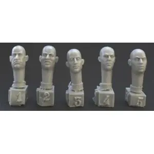 Consegna Rapida HORNET 5 more European bald heads