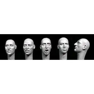 Promozione Hornet heads with aquiline features