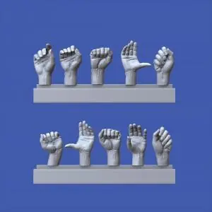 Non Perdere ROYAL 1 16 Assorted Hands Set No. 2 (1 16)