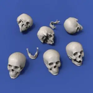 ROYAL 1 24 Skulls/ Totenköpfe (75mm) Prezzo Conveniente