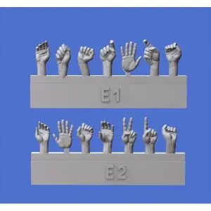 Offerta ROYAL 1 35 Assorted Hands Set No. 5 (1 35)