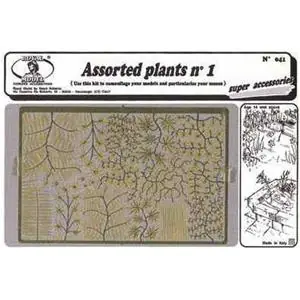 Prezzo Conveniente ROYAL 1 35 Assorted Plants 1