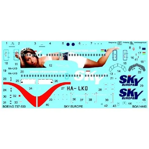 Occasione Imperdibile BOEING 737-500
