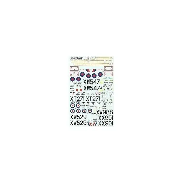 BUCCANEER S2B Offerta Lampo