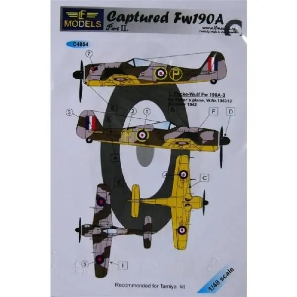 Offerta Limitata CAPTURED FW 190A
