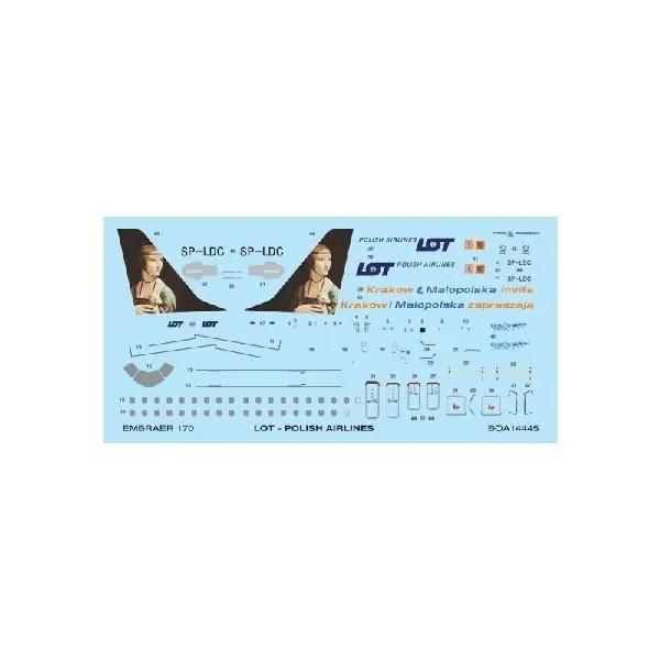 EMBRAER 170 LOT Professionale