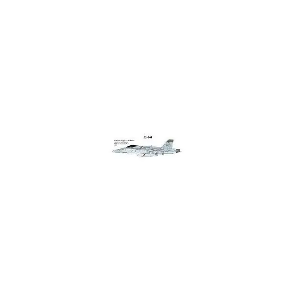 Professionale F/A-18C HORNET