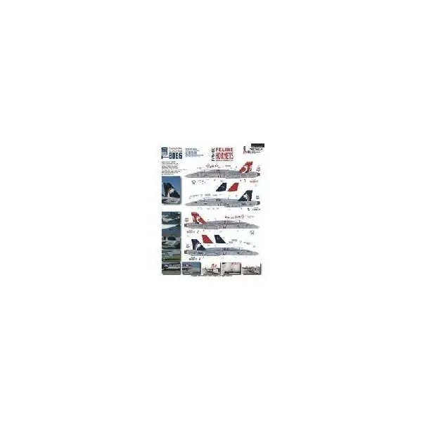 F/A-18C VFA-131 FELINE HO Acquista Ora