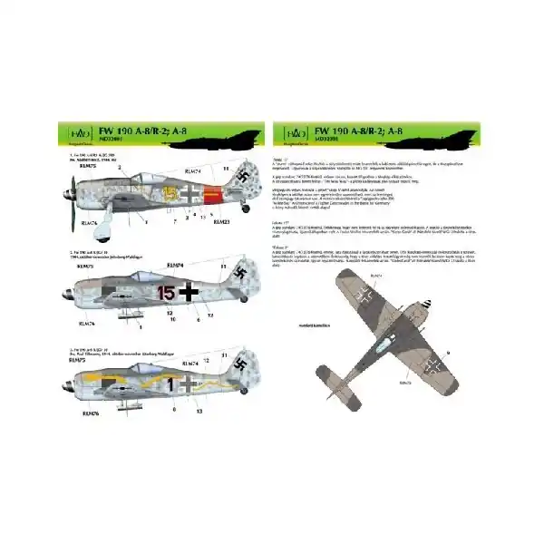Focke-Wulf FW-190 Occasione Imperdibile
