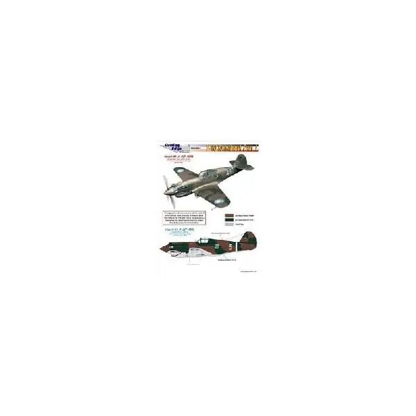 Ordina Subito P-40 TOMAHAWKS 1