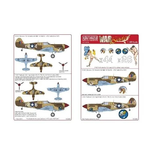 P-40‘S Vendita Finale