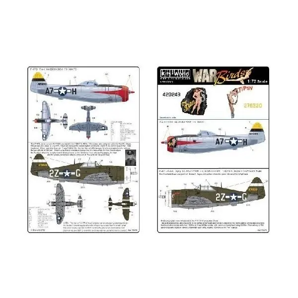 Di Tendenza P-40‘S