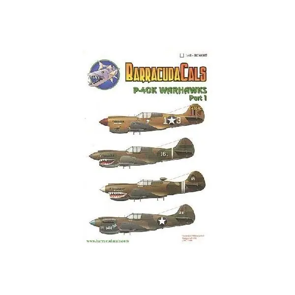Offerta Speciale P-40K WARHAWKS