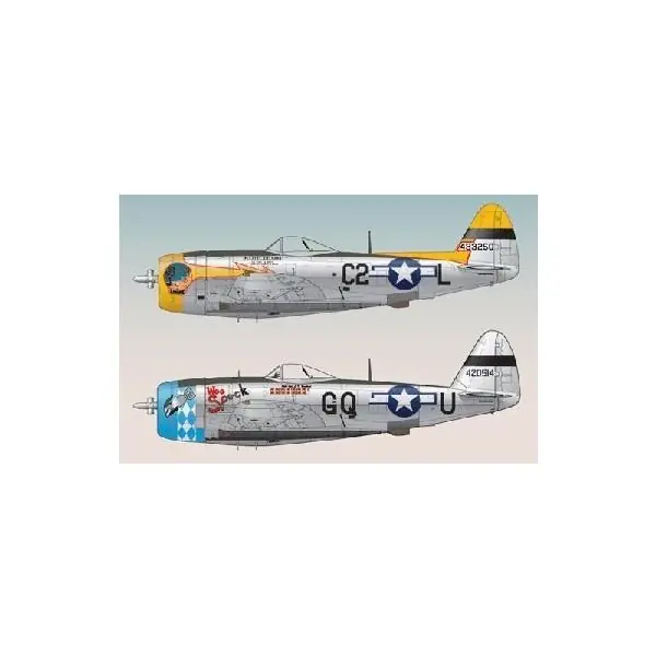 P-47 BEST SELECTIONS PT 2 Pagamento Sicuro