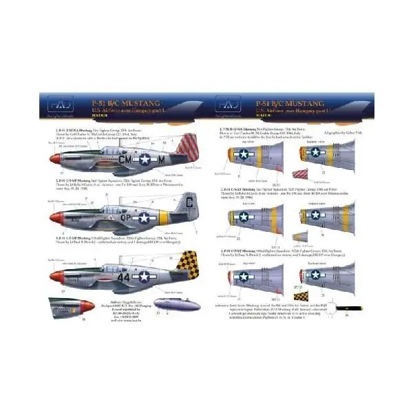 P-51 Acquista Ora