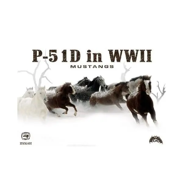 Nuovo Arrivo P-51D