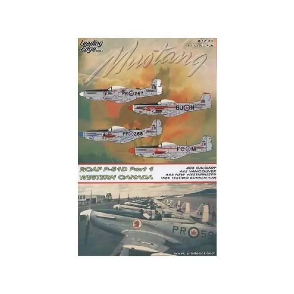Occasione P-51D MUSTANG