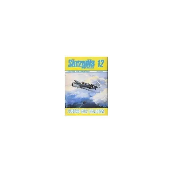 CURTISS SB2C HELLDIVER Di Tendenza