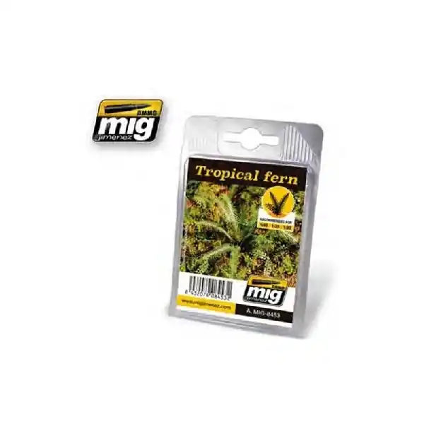 Miglior Prezzo FELCE TROPICALE