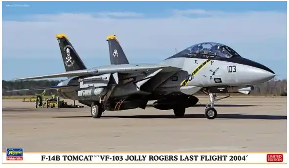 F-14B Tomcat Miglior Prezzo