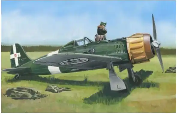 Macchi MC.201 Italian fighter Ordina Subito