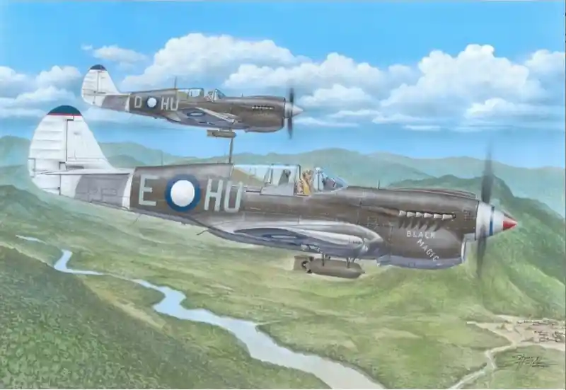 Acquista Ora SPECIAL HOBBY 72484Kittyhawk Mk.IV