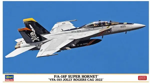 F/A-18F Super Hornet 1/72 -HASEGAWA 02458 Soddisfatti O Rimborsati