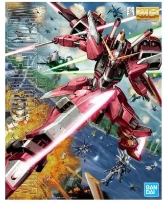 Professionale MG Gundam Infinity Justice 1/100 - BANDAI 5063041 (21737)