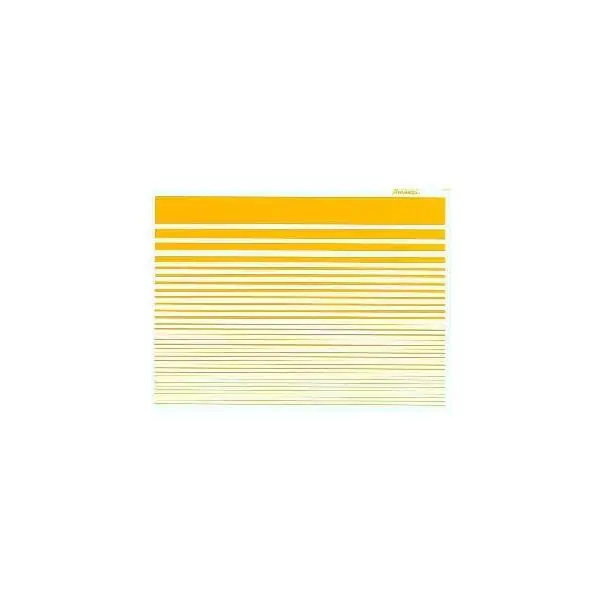 STRIPES INSIGNIA YELLOW Occasione Imperdibile