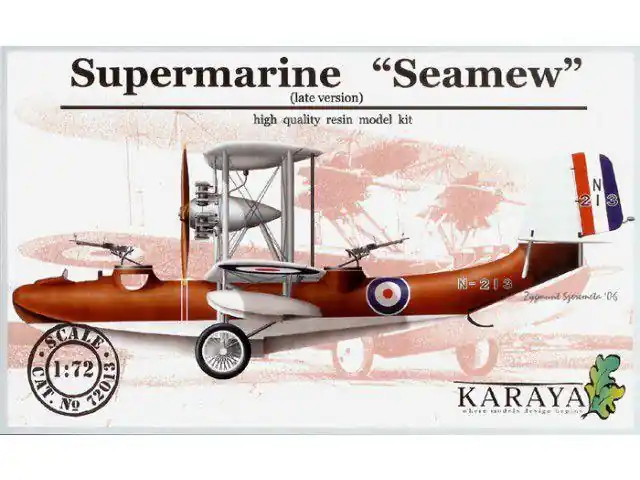 SUPERMARINE "SEAMEW" Solo Oggi