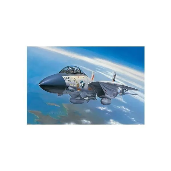 Ordina Subito F-14A