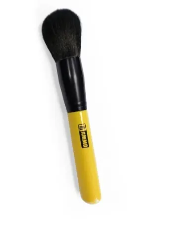 DUST REMOVER BRUSH 2 Offerta Speciale