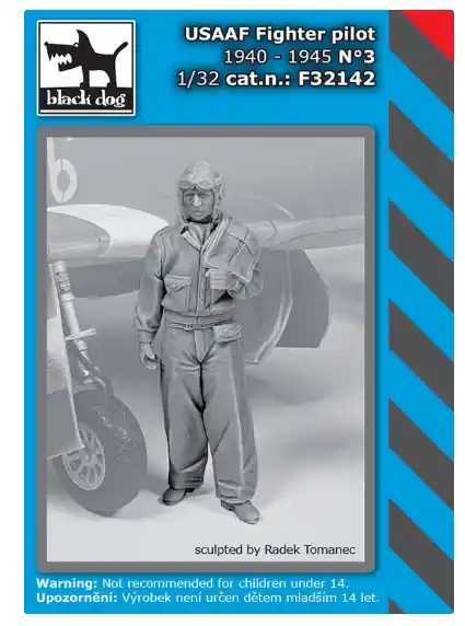 Reso Gratuito USAAF Fighter Pilot